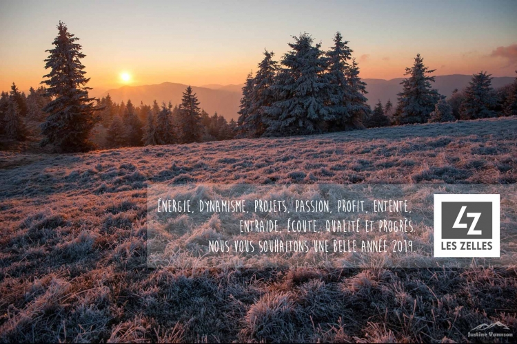 Meilleurs voeux 2019 Meilleurs voeux 2019